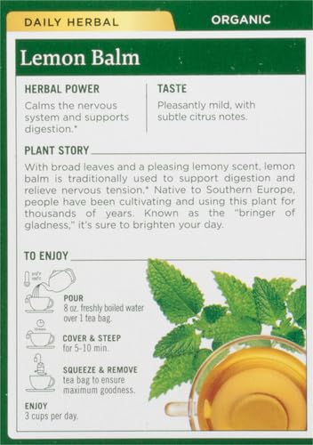 Close-up of lemon balm leaves for Traditional Medicinals tea blend