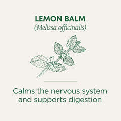 Traditional Medicinals lemon balm leaf close-up emphasizes heritage and caffeine-free tea experience
