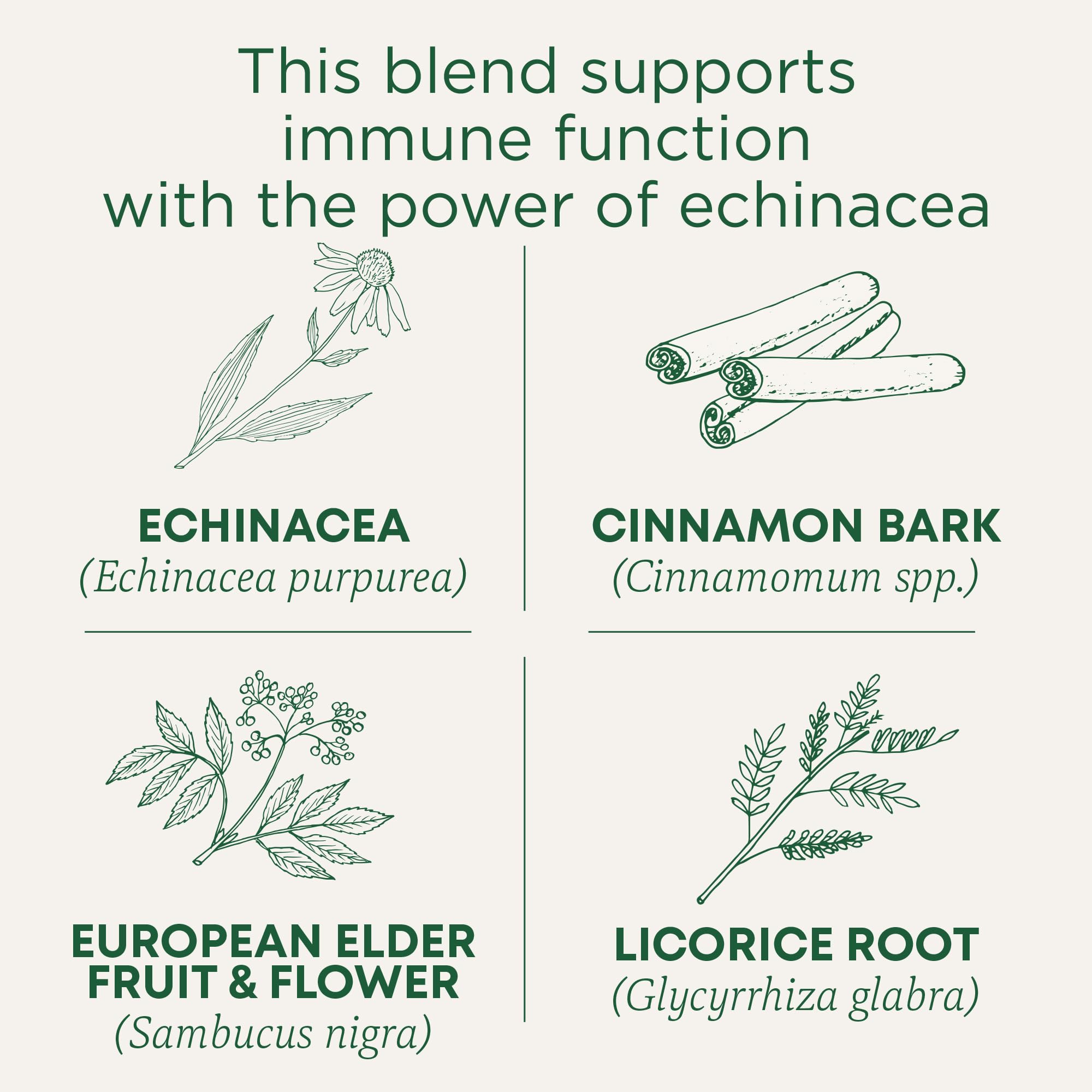 Front packaging of Traditional Medicinals lemon echinacea throat coat organic tea.
