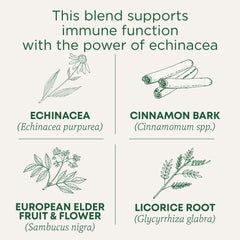 Front packaging of Traditional Medicinals lemon echinacea throat coat organic tea.