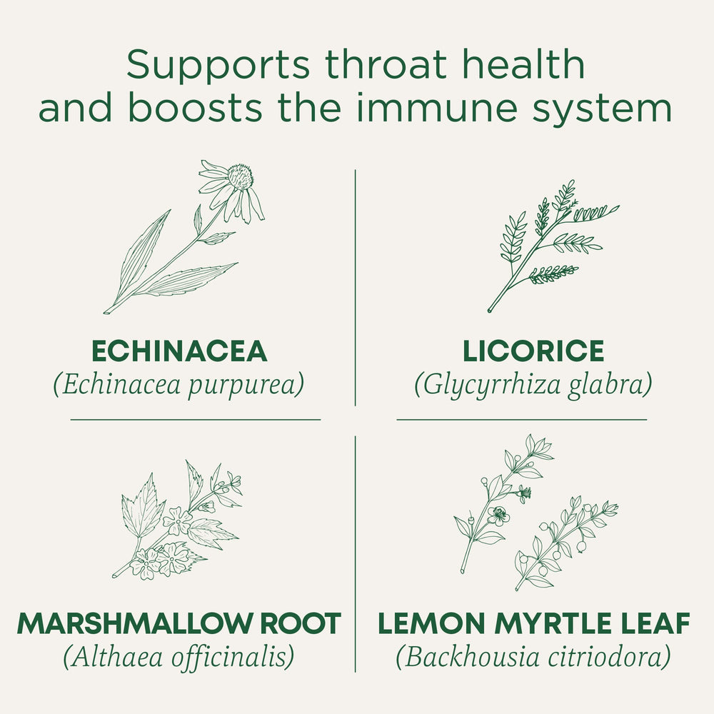 Close-up of Traditional Medicinals Lemon Echinacea Throat Coat tea ingredients with echinacea and marshmallow