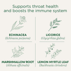 Close-up of Traditional Medicinals Lemon Echinacea Throat Coat tea ingredients with echinacea and marshmallow