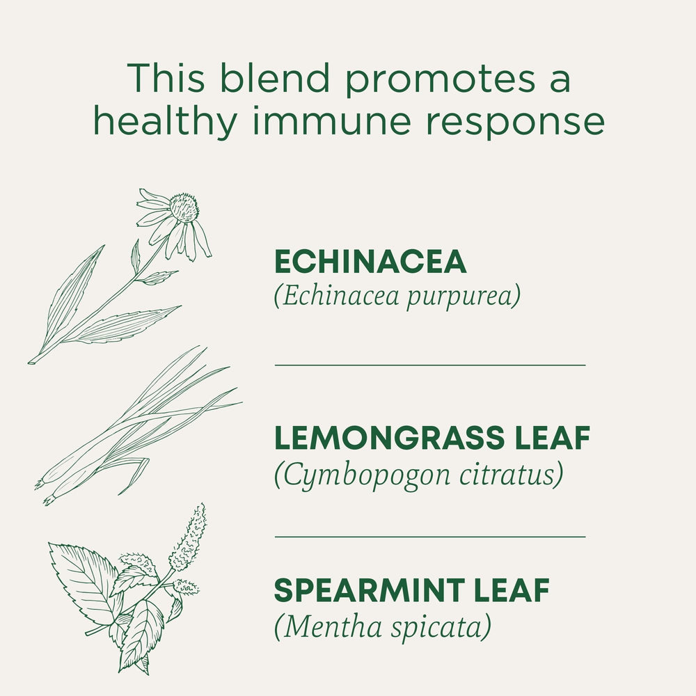 Traditional Medicinals licorice-root tea close-up with warm aroma.