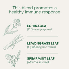 Traditional Medicinals licorice-root tea close-up with warm aroma.