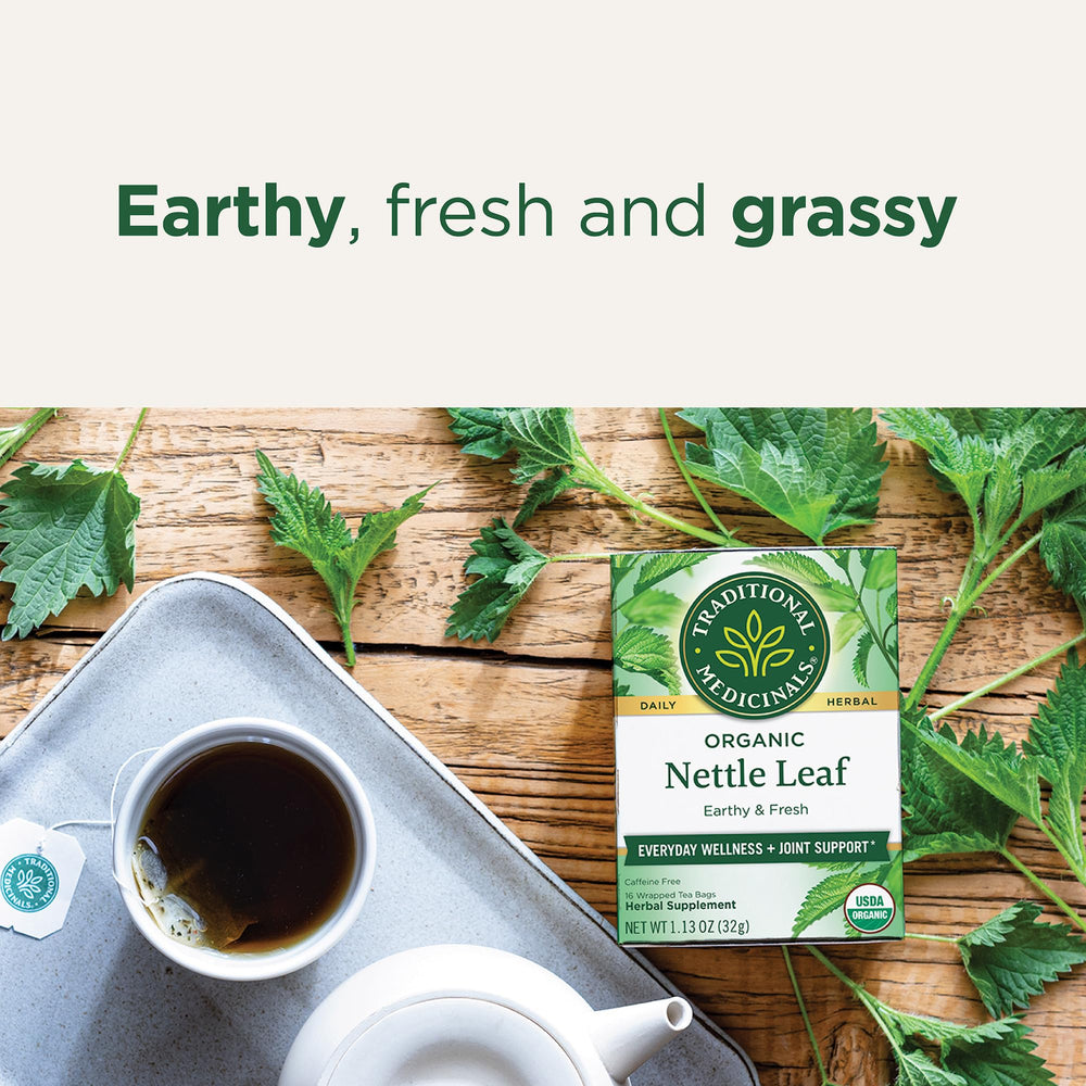 Traditional Medicinals nettle tea brewed cup with earthy aroma.