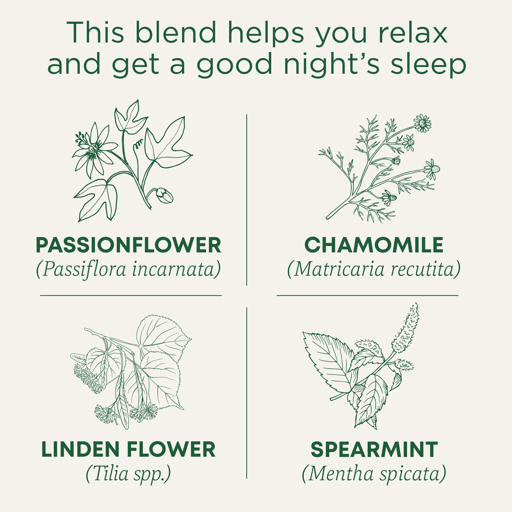 Traditional Medicinals Nighty Night Tea mug with steep, inviting relaxation.