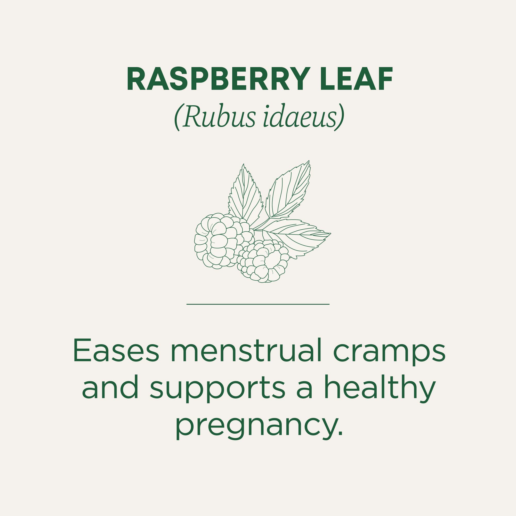 Traditional Medicinals organic certifications label on tea package.