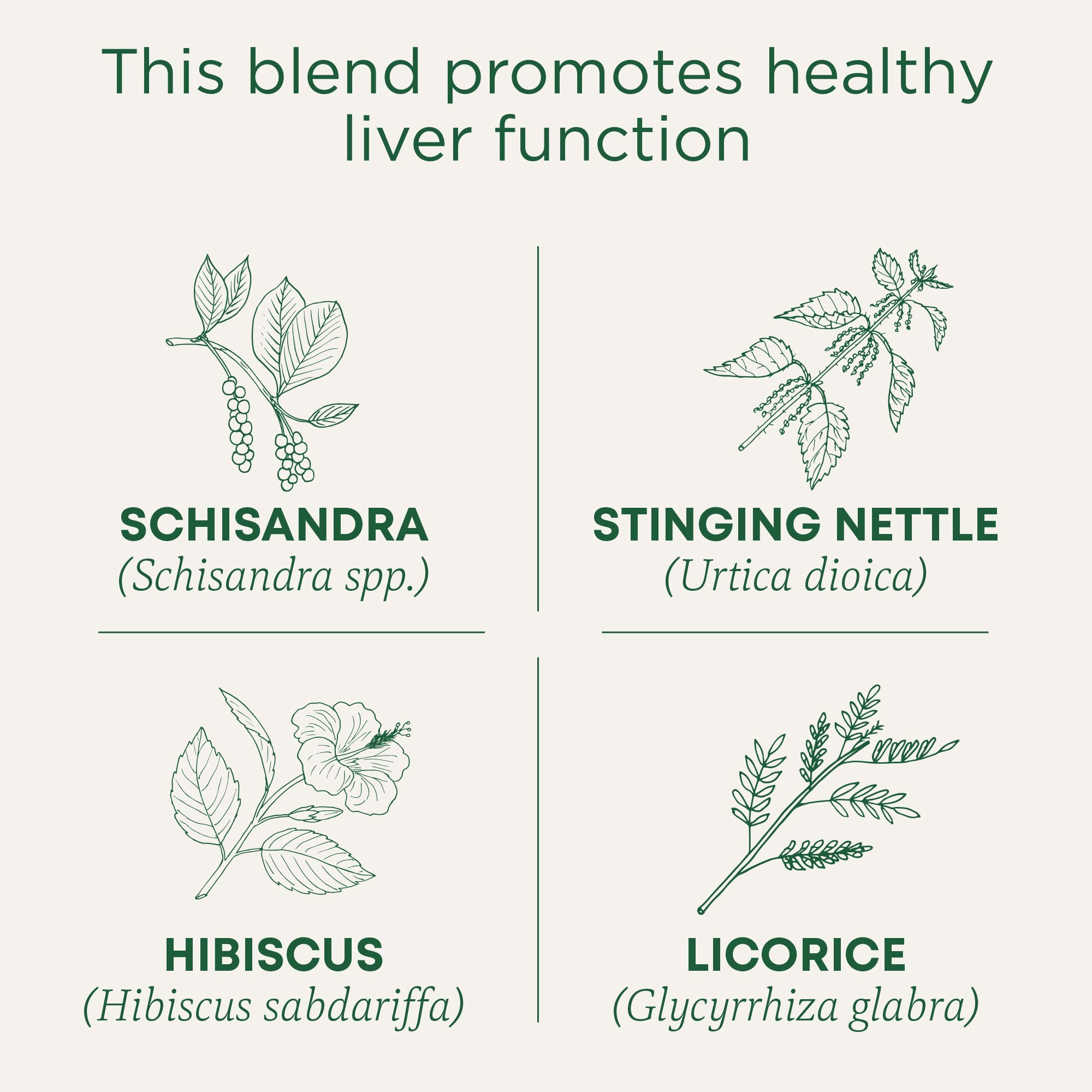 Organic Everyday Detox tea packet showcases organic caffeine-free blend for daily ritual