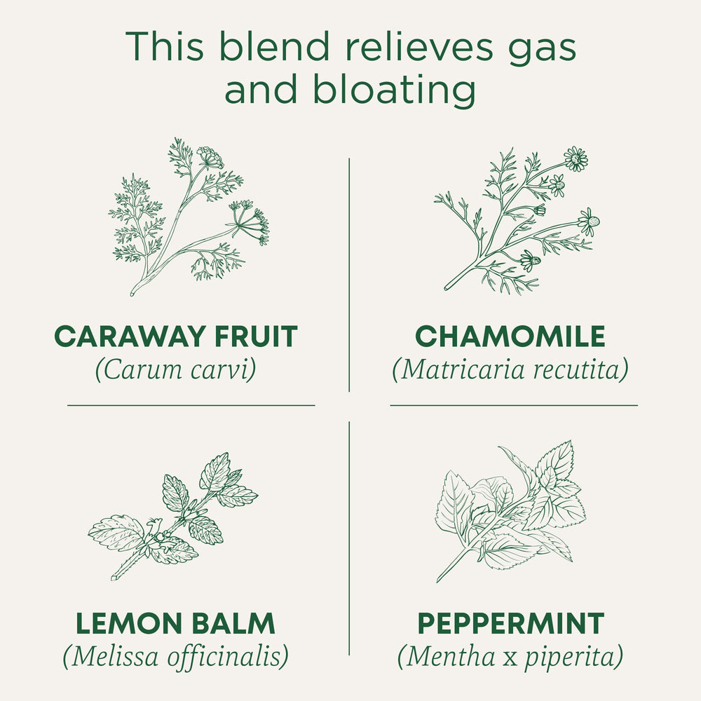 Traditional Medicinals organic gas relief box highlighting caffeine-free blend.