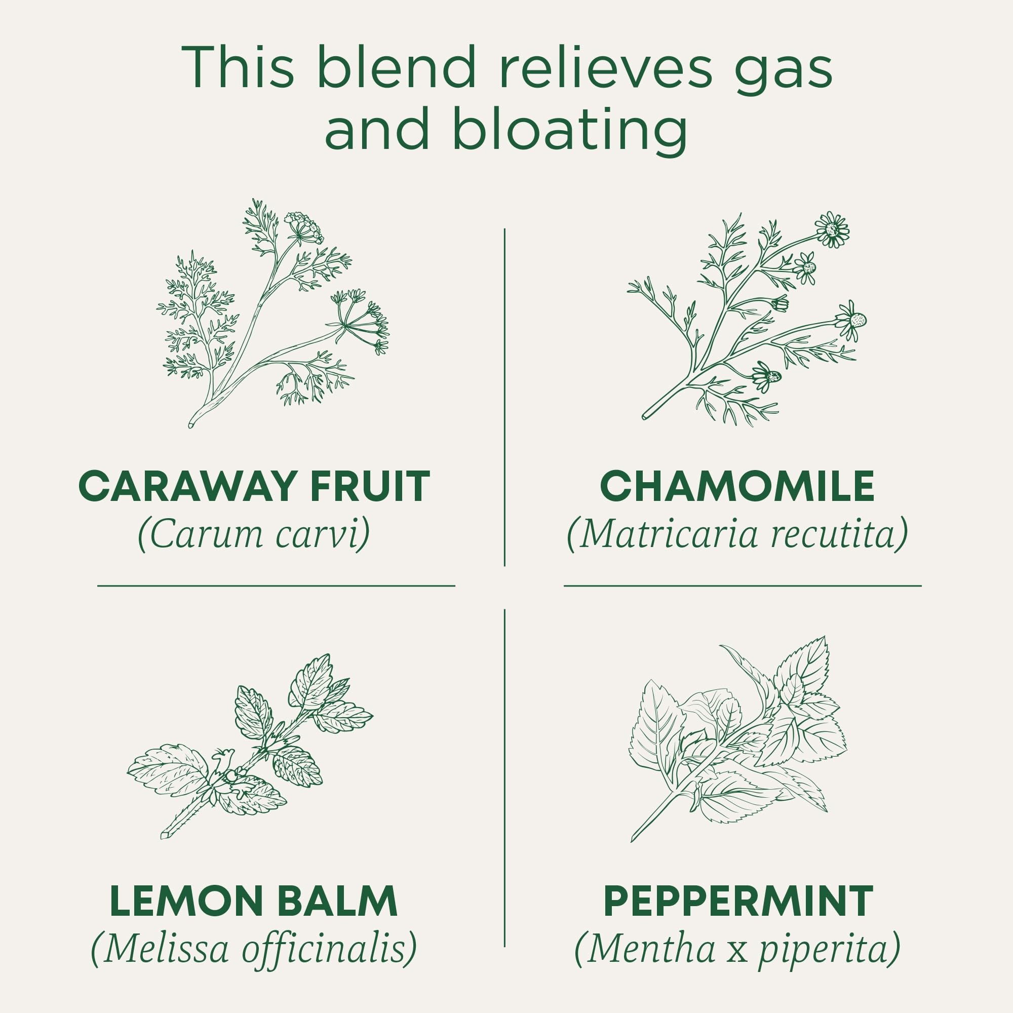 Traditional Medicinals Organic Gas Relief Tea brewed cup shows aromatic steam and soothing notes