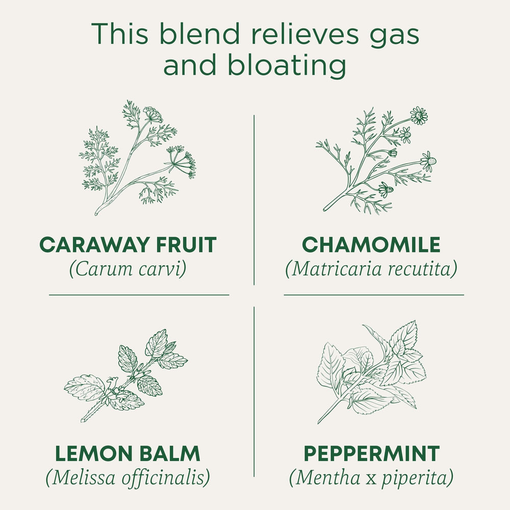 Traditional Medicinals Organic Gas Relief Tea brewed cup shows aromatic steam and soothing notes