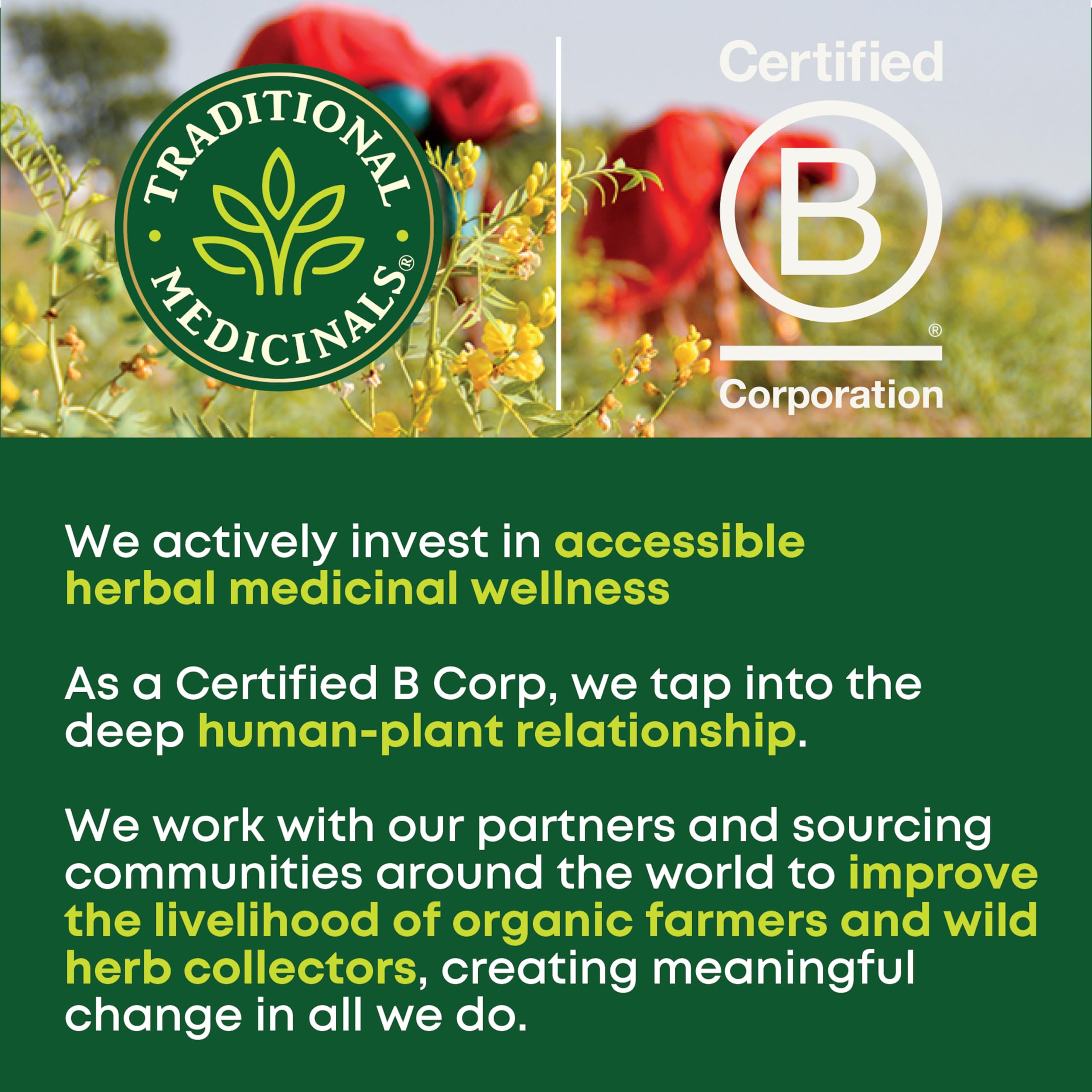 Traditional Medicinals Organic Gas Relief Tea certifications badge highlighting organic and sustainable ethics