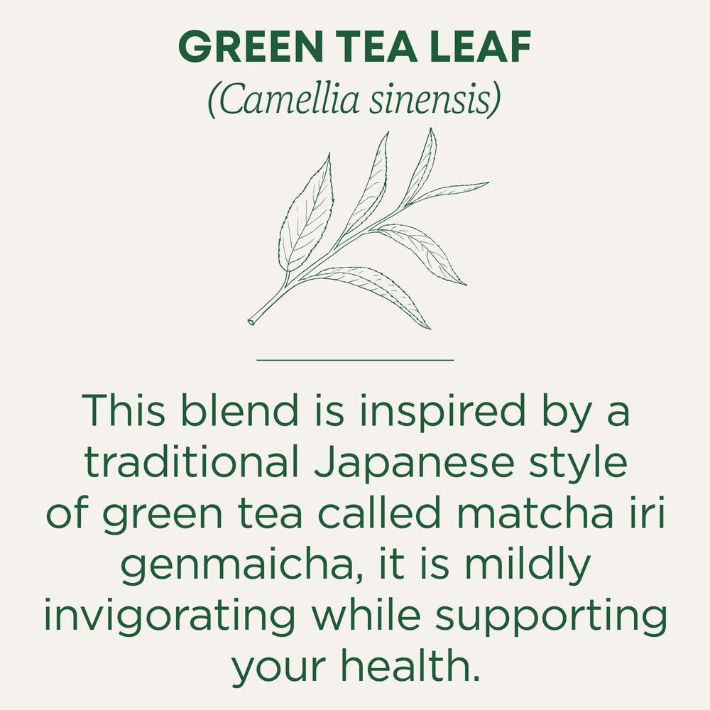 Traditional Medicinals organic green tea matcha genmaicha leaves showing fresh blend