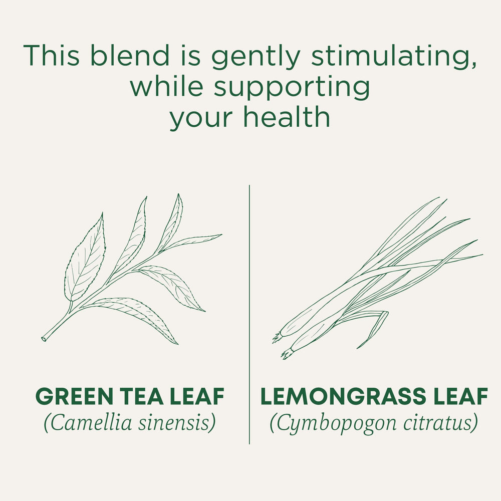 Traditional Medicinals organic green tea lemongrass box highlights certified sourcing.