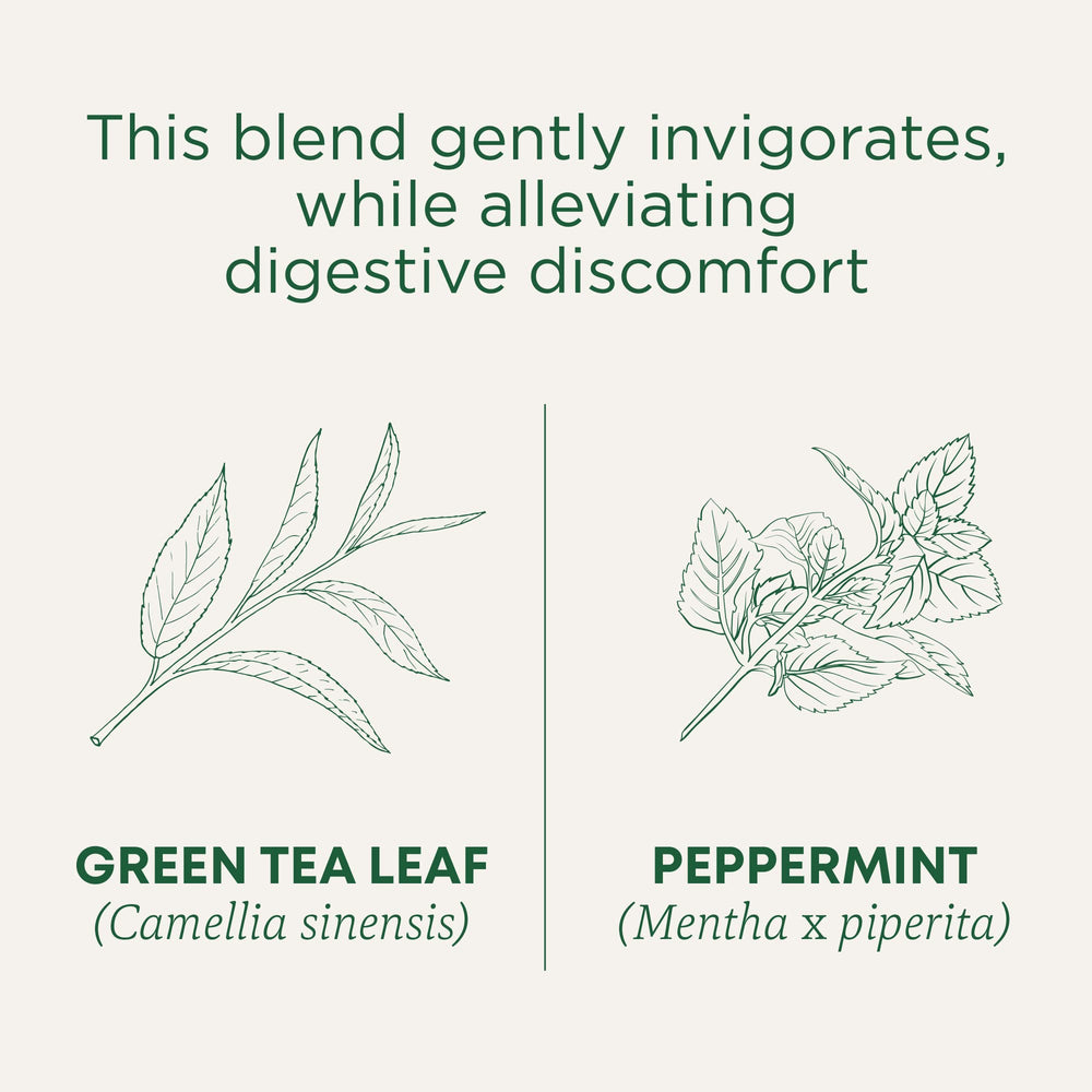 Traditional Medicinals organic green tea peppermint farm label from Darjeeling origin.