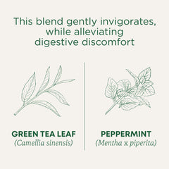 Traditional Medicinals organic green tea peppermint farm label from Darjeeling origin.