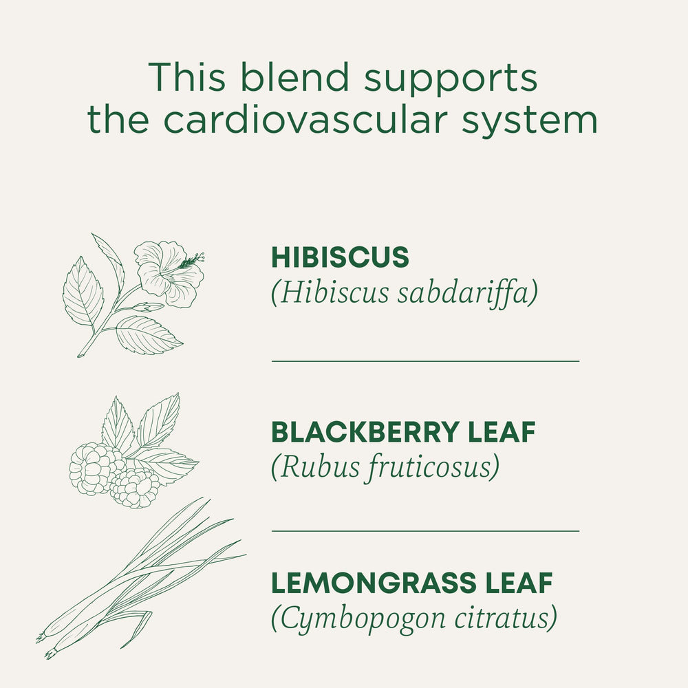 Traditional Medicinals hibiscus tea lemongrass blend aroma and flavor