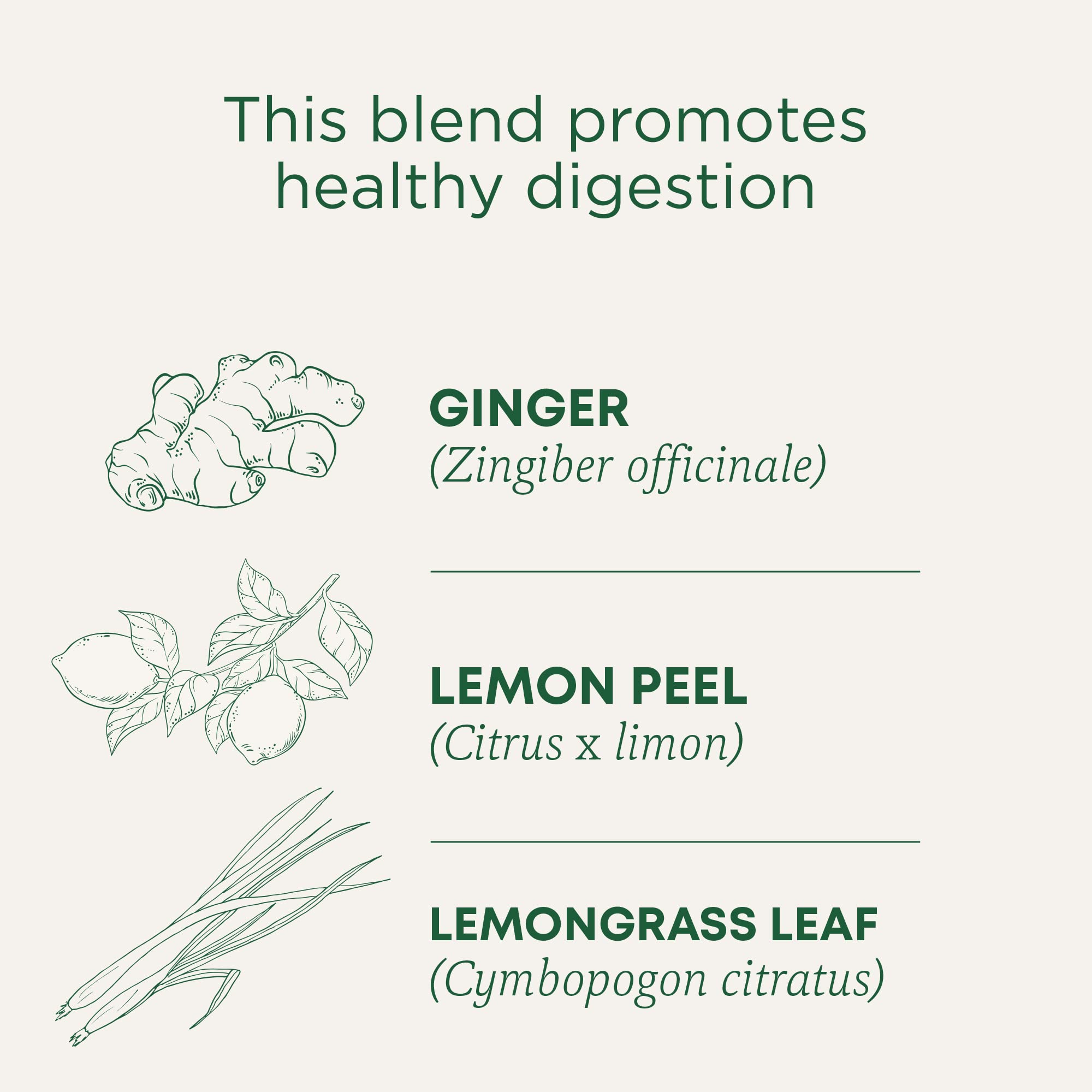 steam rises from a cup of traditional medicinals lemon ginger tea.