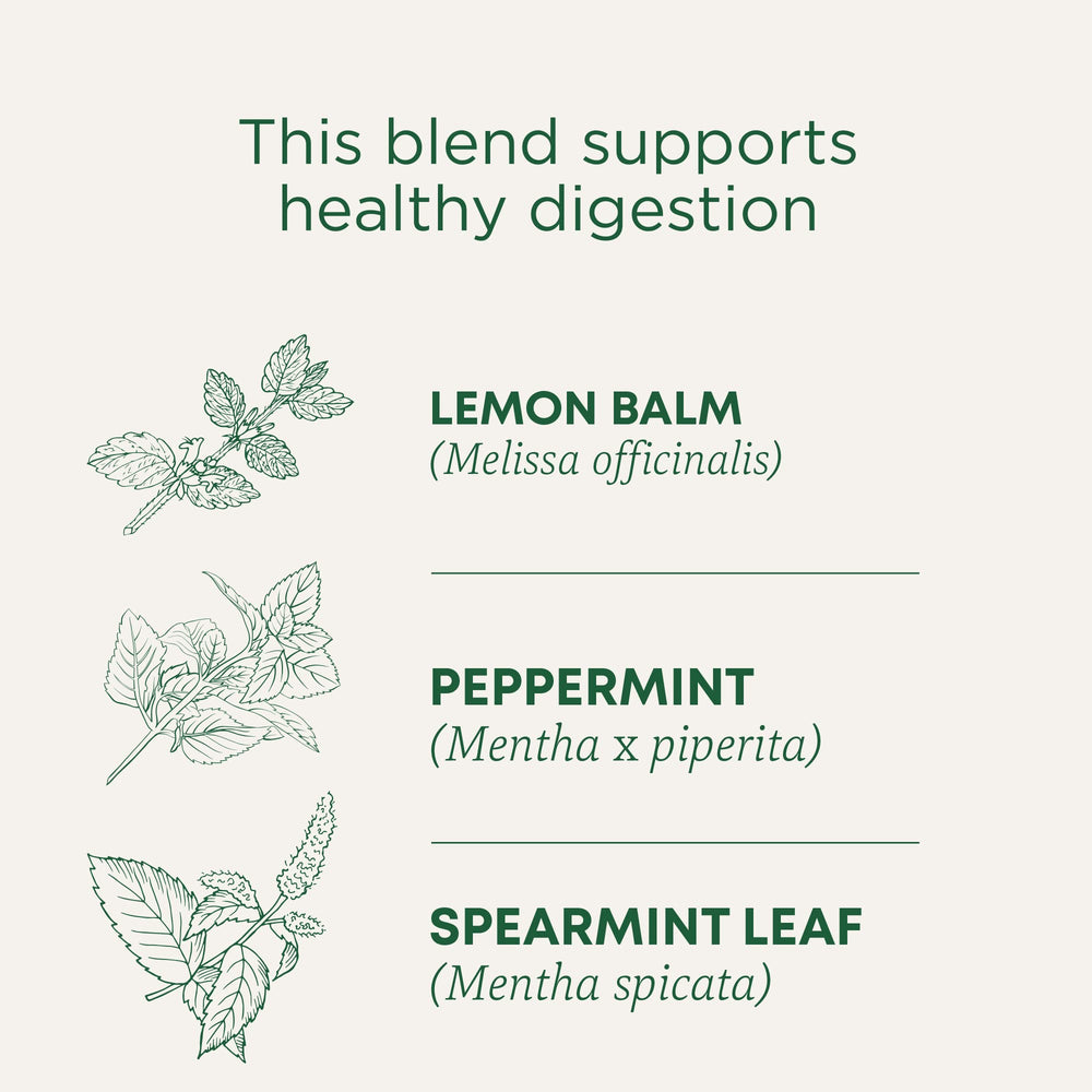 Traditional Medicinals Organic Triple Mint Tea bags ready to brew for daily use.