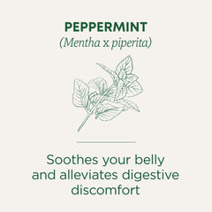 Traditional Medicinals Pacific Northwest origin leaves deliver rich essential oils in every cup.