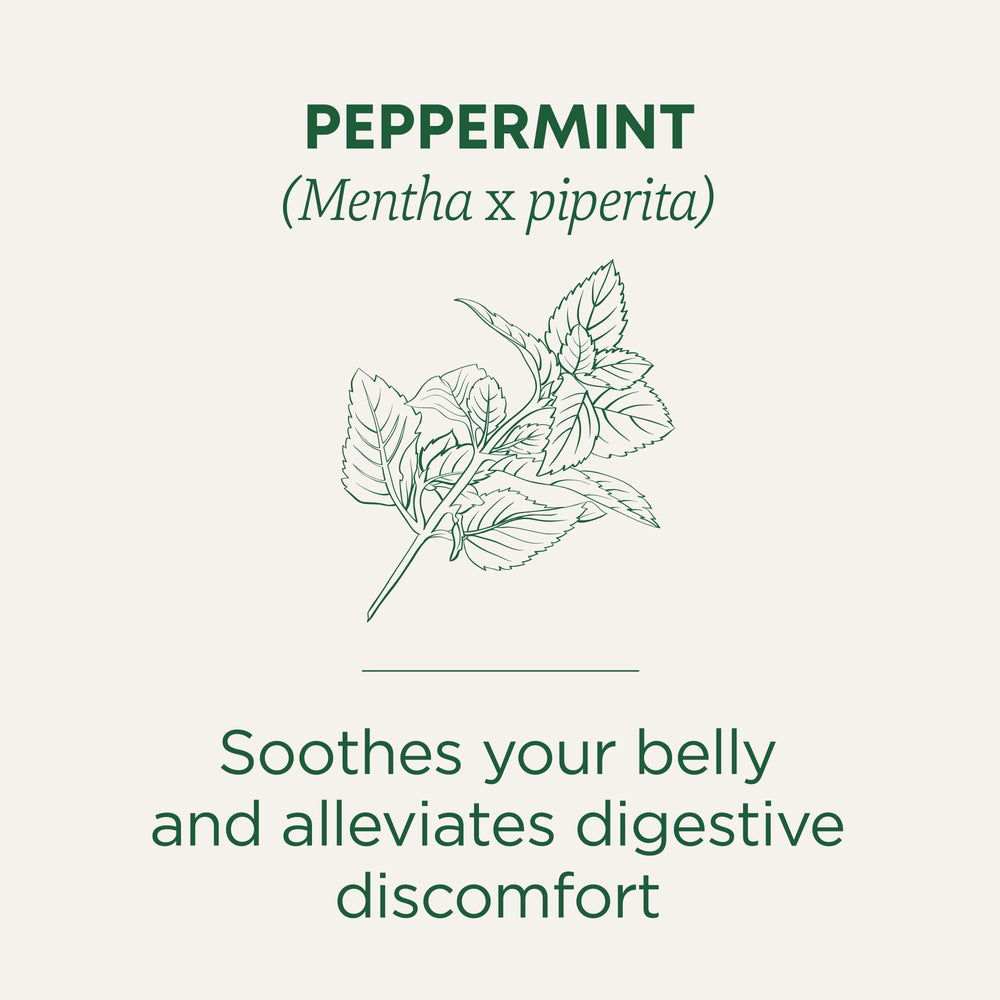 Traditional Medicinals peppermint leaves closeup highlights organic peppermint oils.