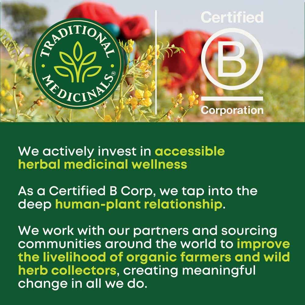 Traditional Medicinals Pregnancy Tea box front with 16 tea bags.