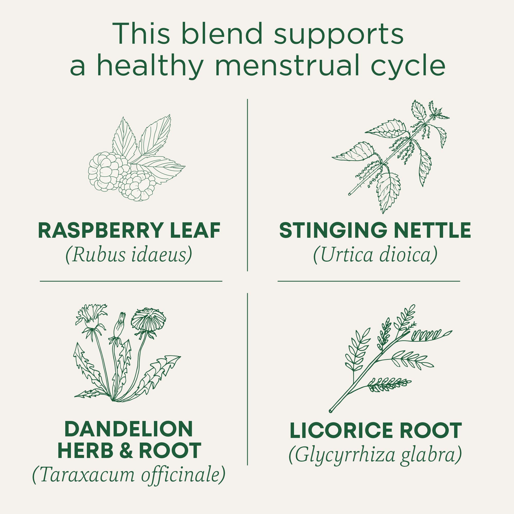 Traditional Medicinals Raspberry leaf blend highlighted, suggesting tradition-based support for monthly comfort.