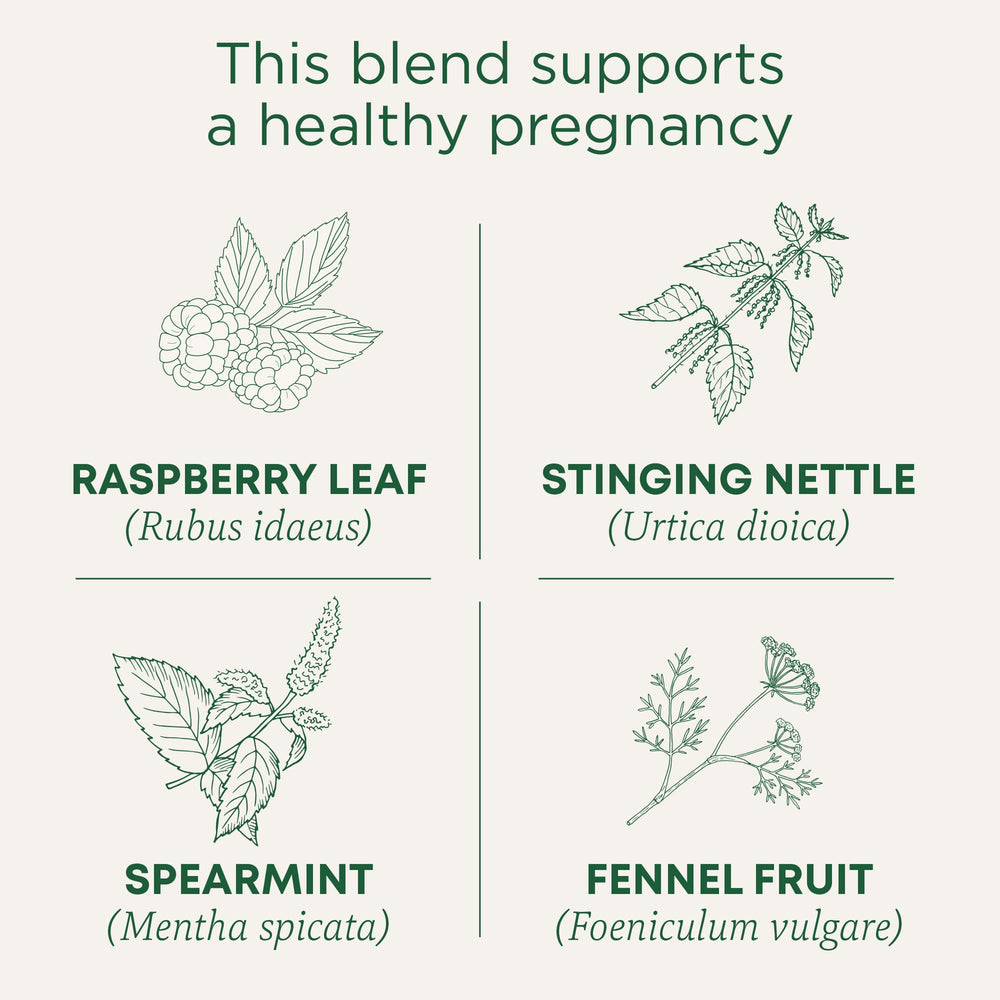 Traditional Medicinals raspberry leaf leaves close-up for soothing tea ritual.