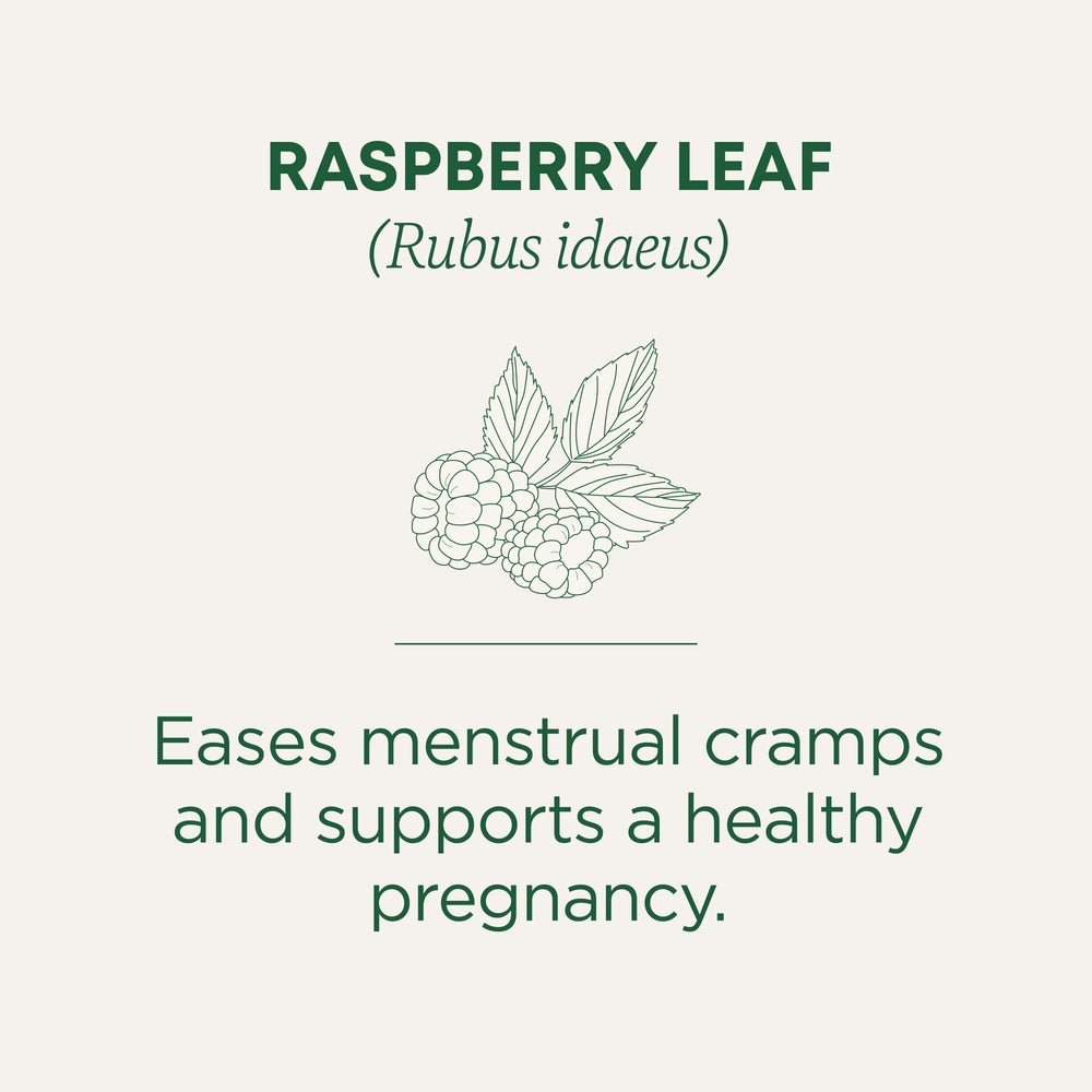 Traditional Medicinals raspberry leaf tea cup with warm aroma