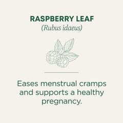 Traditional Medicinals raspberry leaf tea cup with warm aroma
