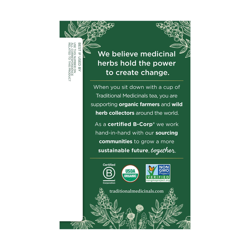 Traditional Medicinals Reishi Tea aroma close-up highlights earthy scent