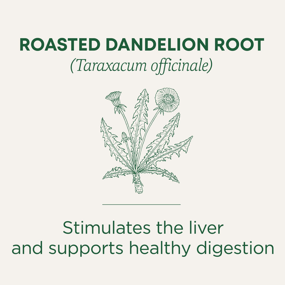 Traditional Medicinals roasted dandelion roots close-up, ideal for daily detox-style sipping.
