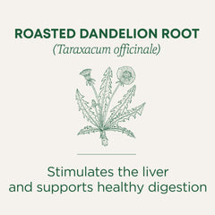 Traditional Medicinals roasted dandelion roots close-up, ideal for daily detox-style sipping.