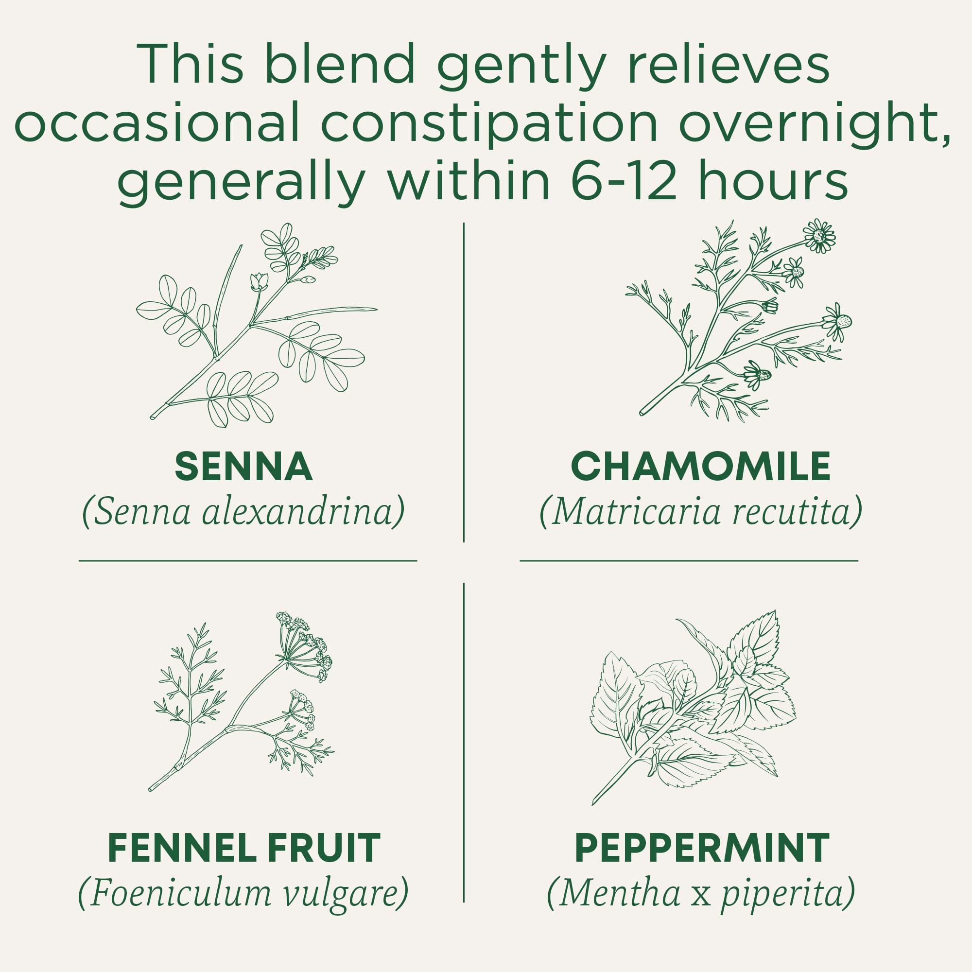 Traditional Medicinals Smooth Move Chamomile cup with tea steeping for relaxation and digestion.