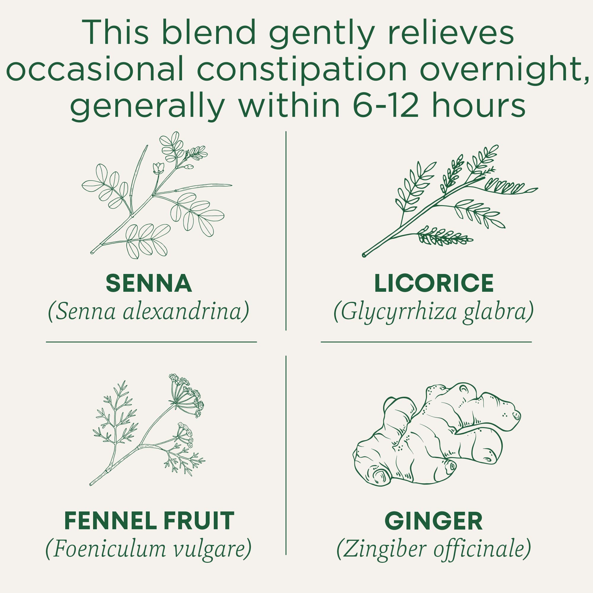 Smooth Move tea steeping in a cup for overnight support by Traditional Medicinals.