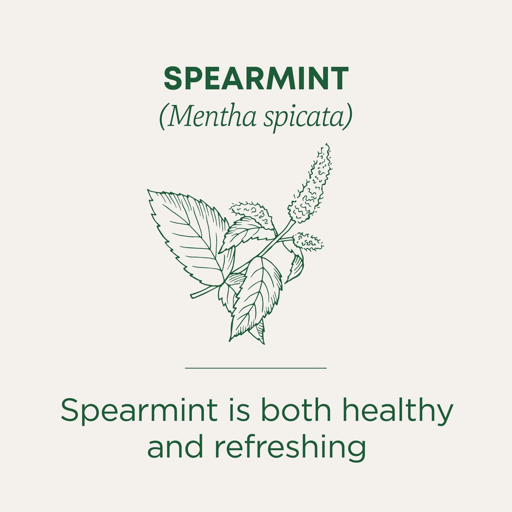 Cup of Traditional Medicinals Organic Spearmint Tea steaming invitingly.