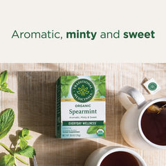 Fresh spearmint leaves used for Traditional Medicinals blend.