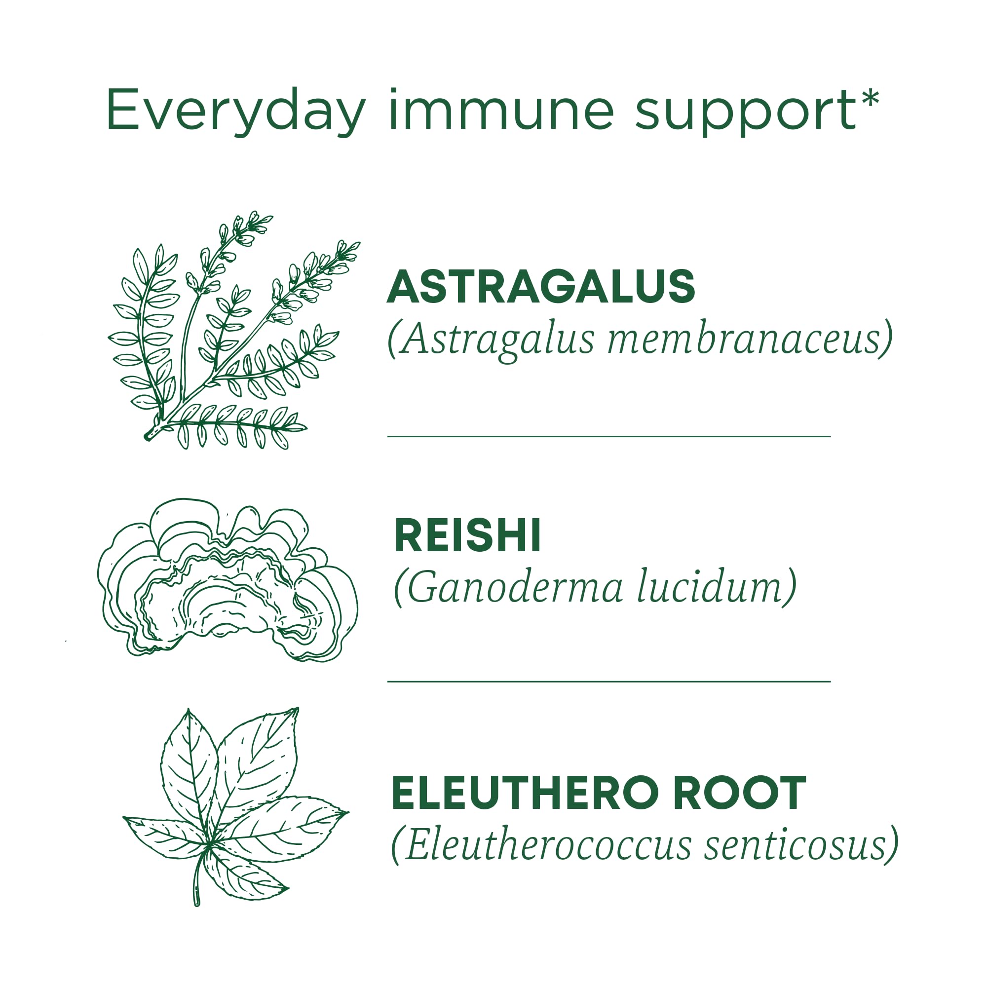 Traditional Medicinals Stress Ease blend with astragalus and hawthorn for a balanced routine.