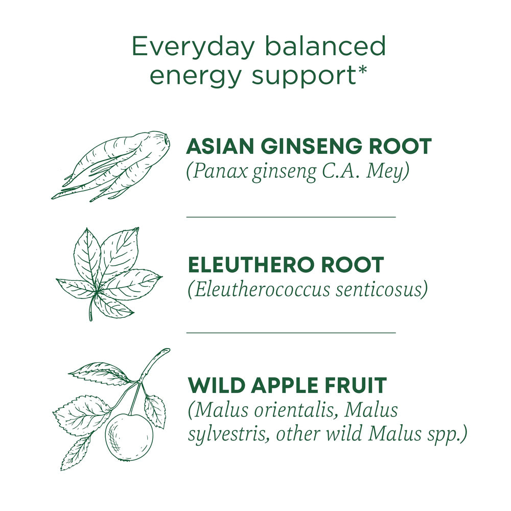 Traditional Medicinals Stress Ease Focus ginseng root highlights adaptogen-inspired focus.