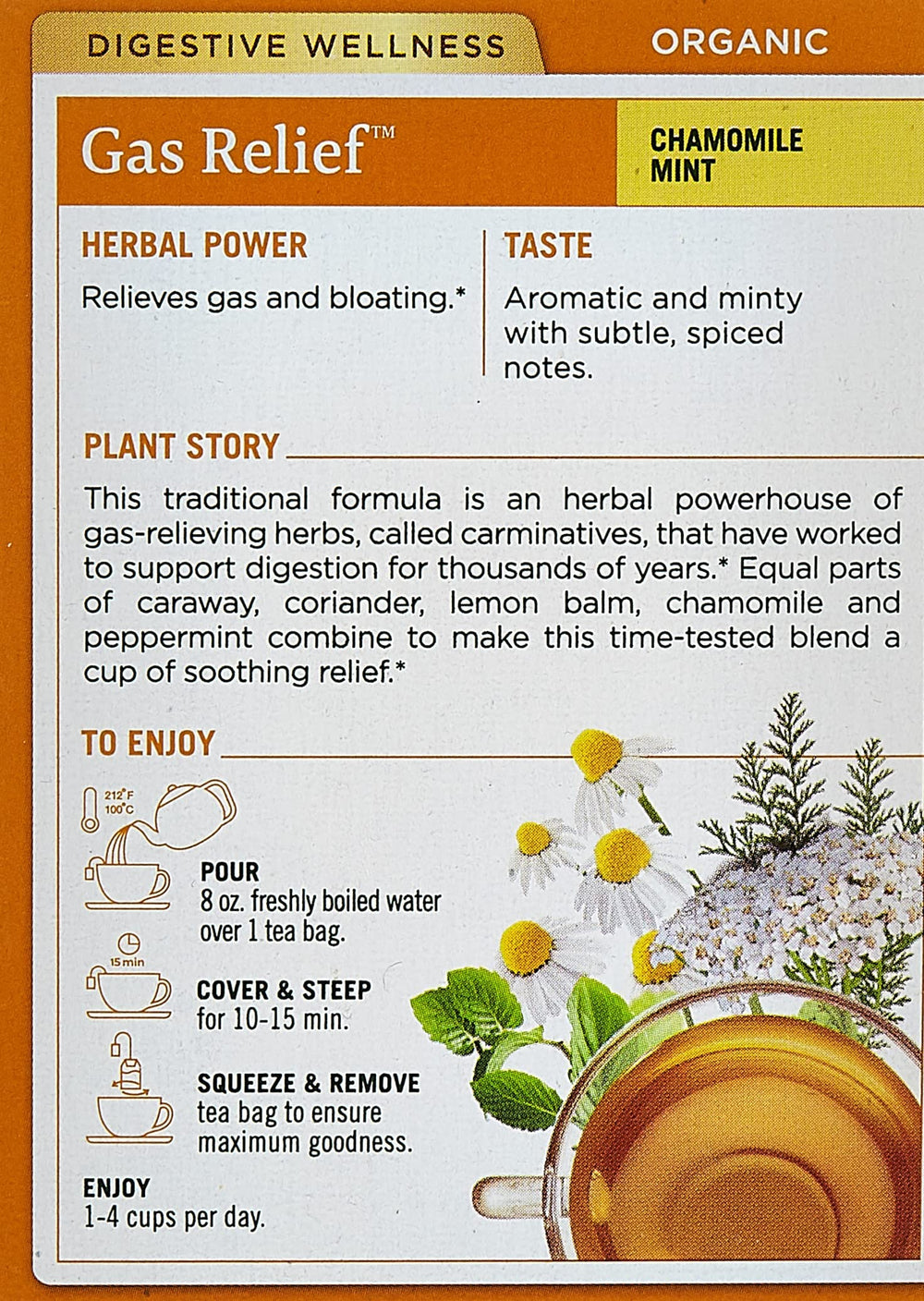 Traditional Medicinals tea bag-closeup reveals herbal blend.
