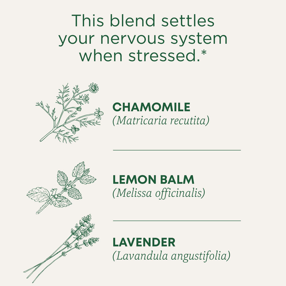 Traditional Medicinals compostable tea bags support eco-friendly brewing
