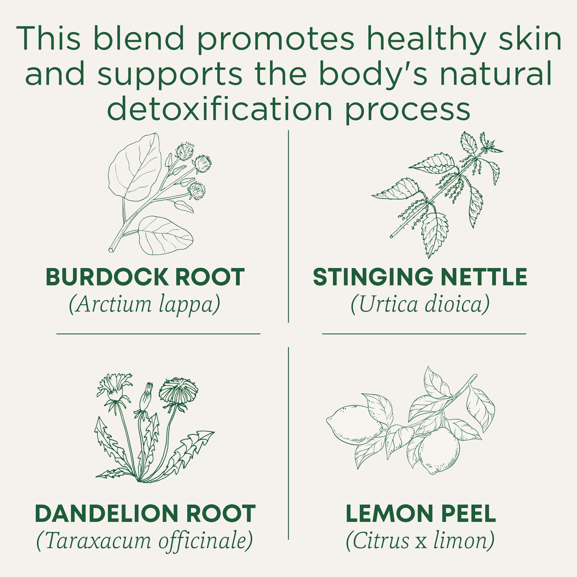 Traditional Medicinals Everyday Detox Lemon box highlights organic and kosher certification.