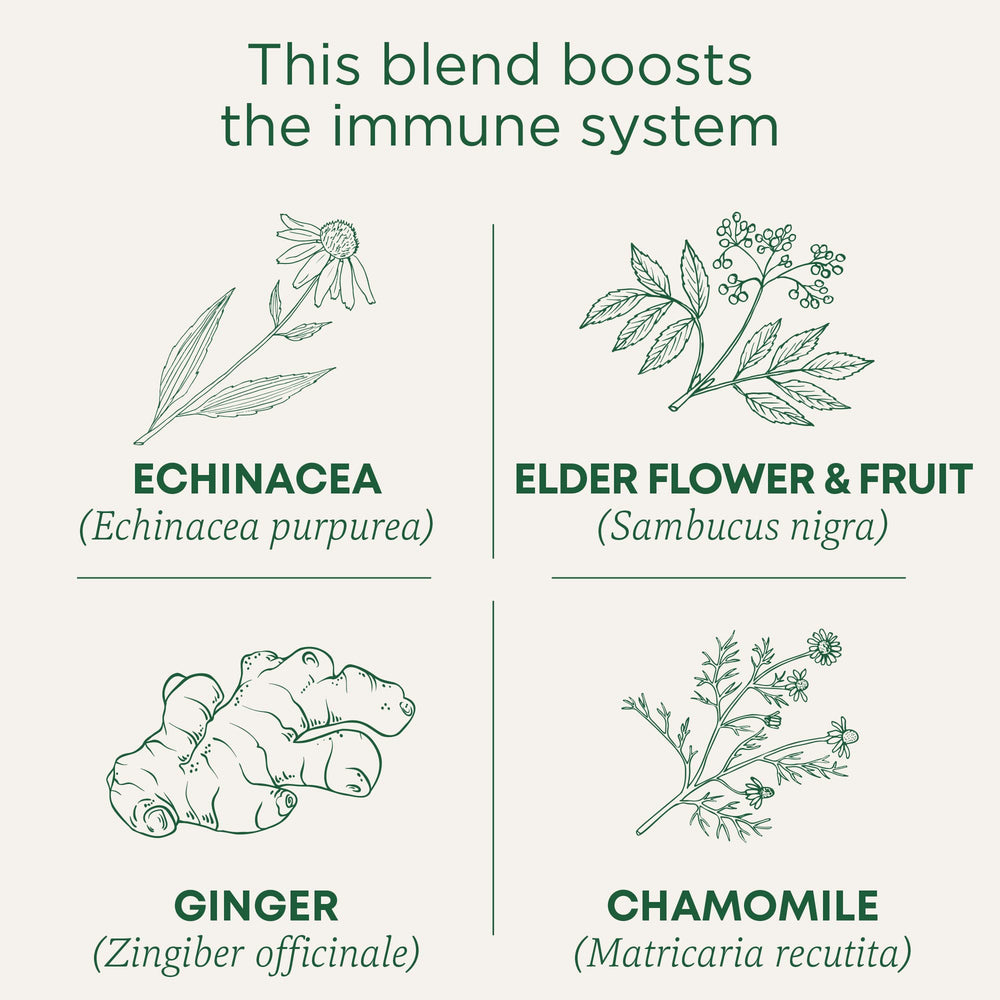 Traditional Medicinals echinacea elderberry ingredients highlight a botanicals blend for daily rituals.