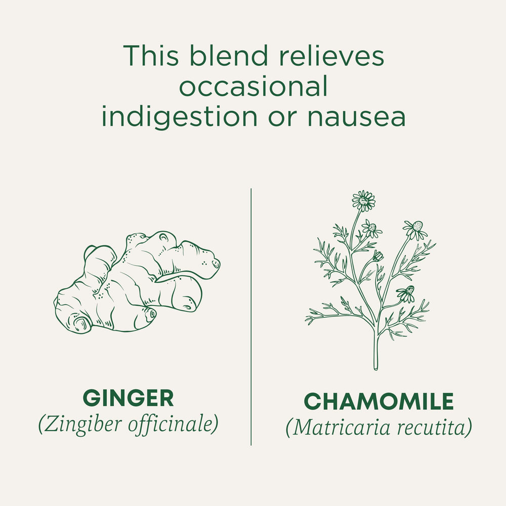 Steeping cup of Traditional Medicinals Ginger and Chamomile blend.