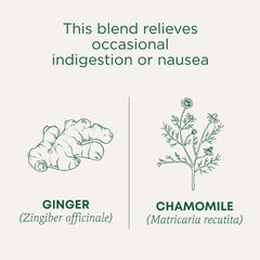 Steeping cup of Traditional Medicinals Ginger and Chamomile blend.