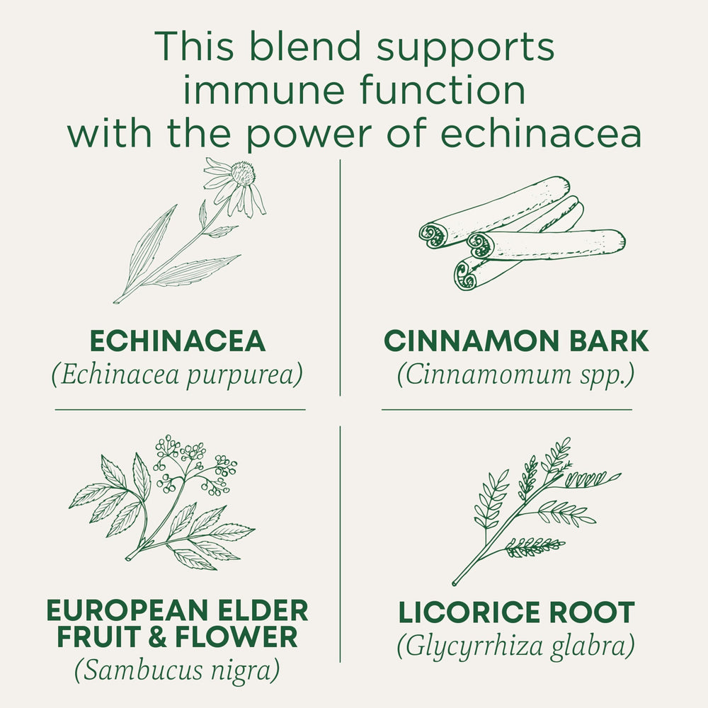 Steaming cup of Traditional Medicinals Immune Zoom for a comforting ritual