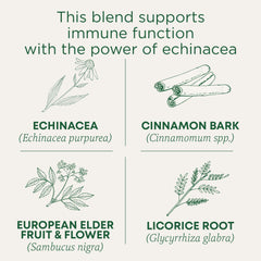 Steaming cup of Traditional Medicinals Immune Zoom for a comforting ritual