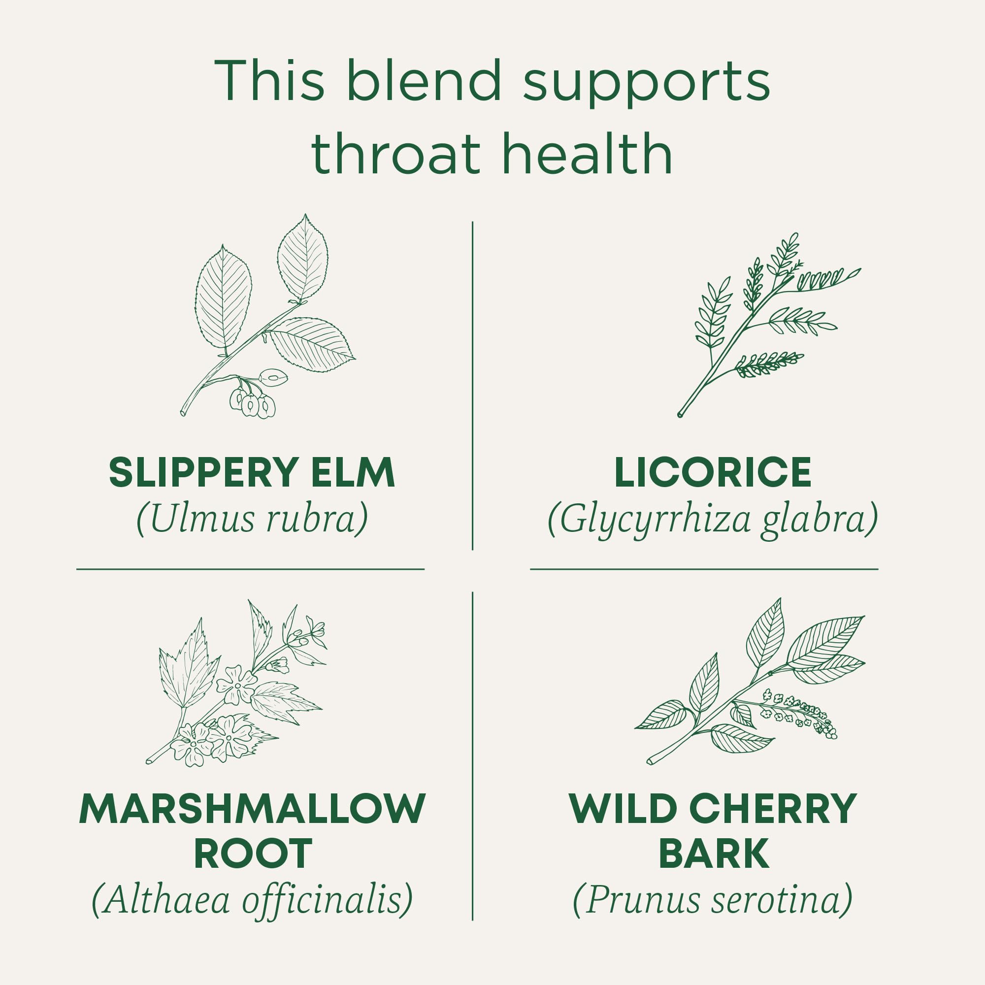 Traditional Medicinals Throat Coat label close-up emphasizing slippery elm heritage