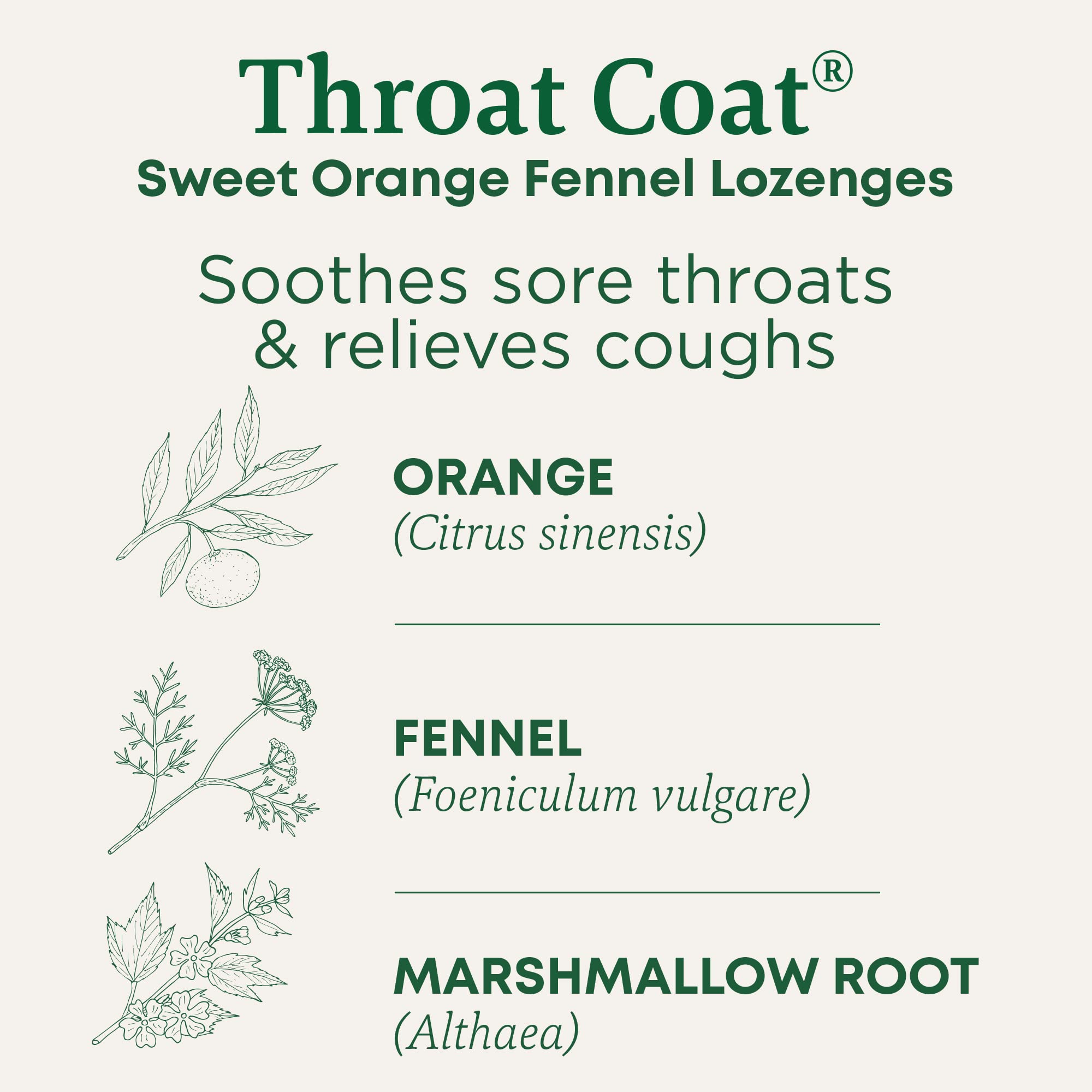Sweet orange fennel lozenge close-up highlighting menthol note for throat comfort.