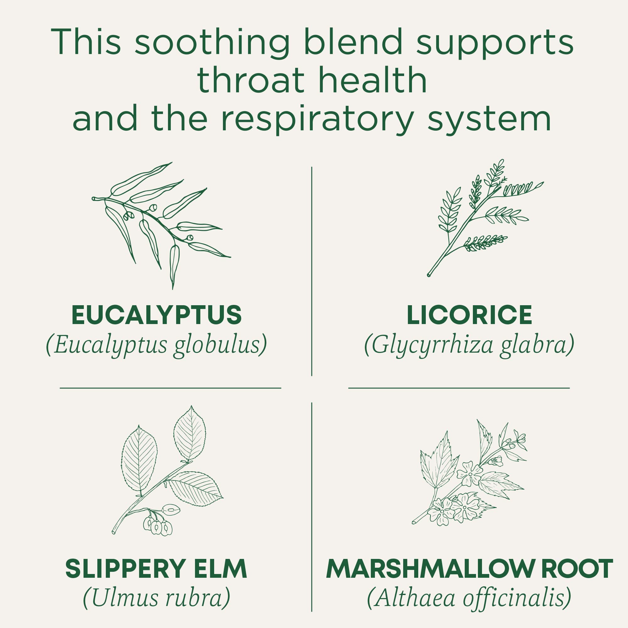 Traditional Medicinals Throat Coat Tea bags closeup—herbal blend with eucalyptus and slippery elm